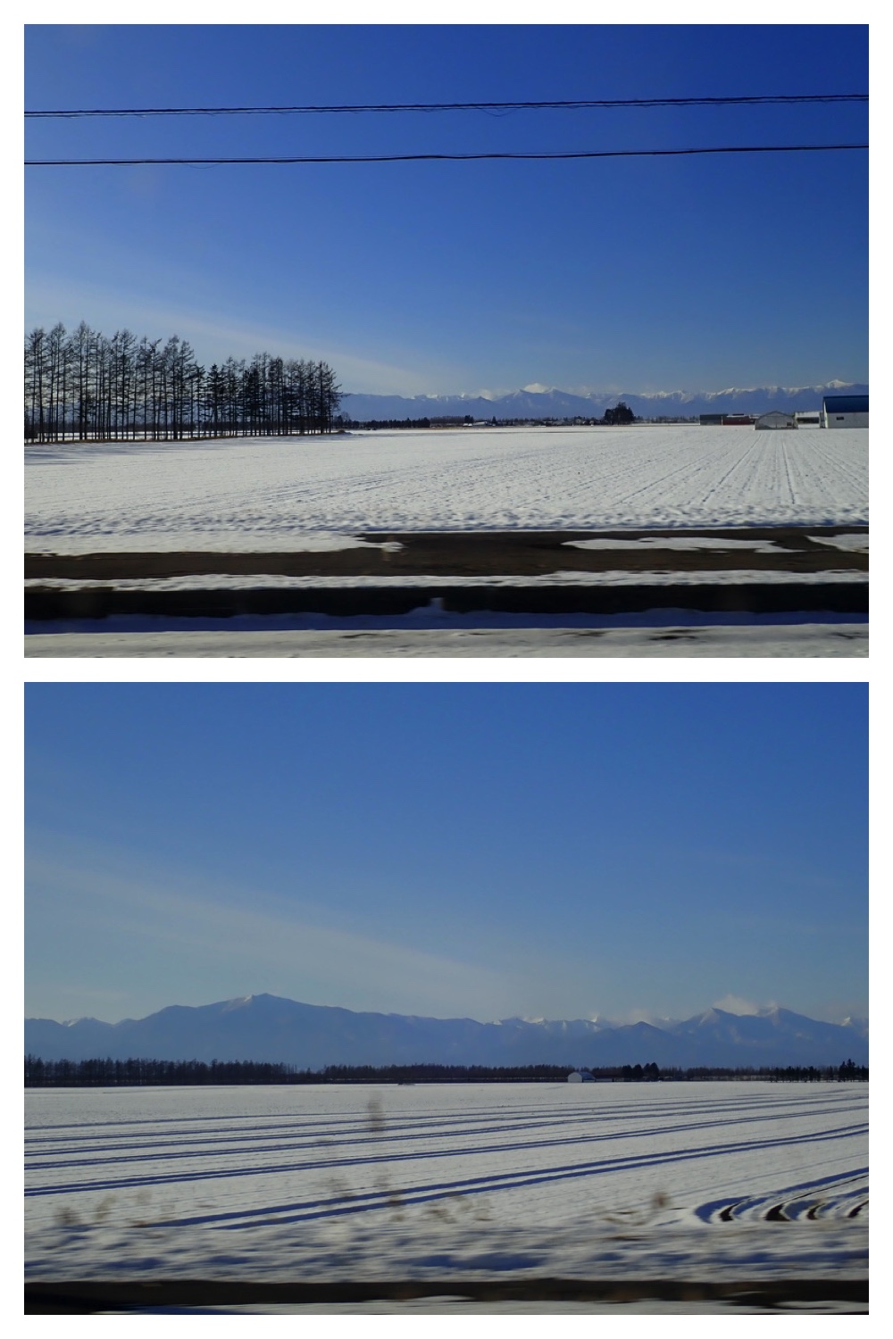 250105_Shougatsu-ake_2