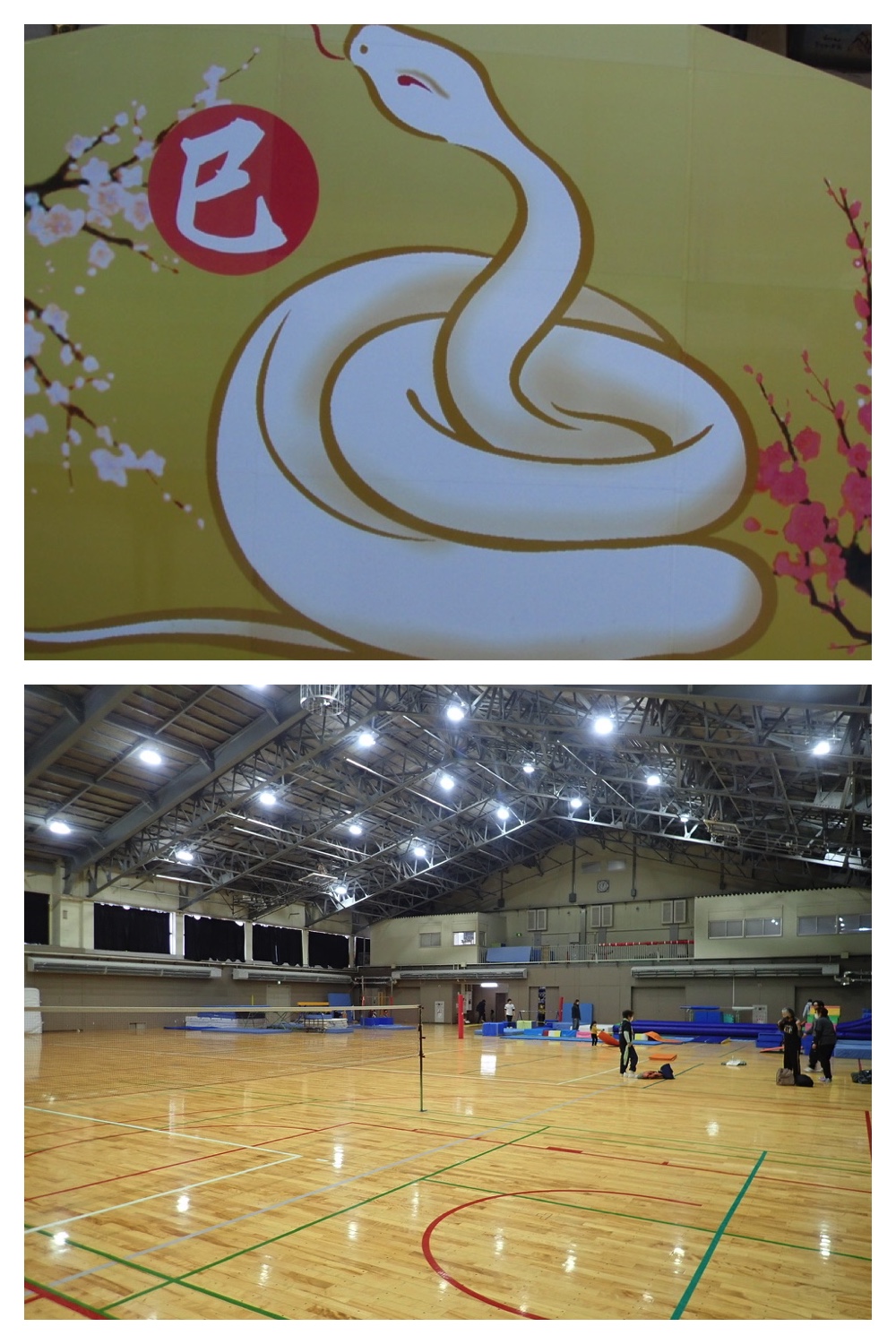 250106_Minivolley