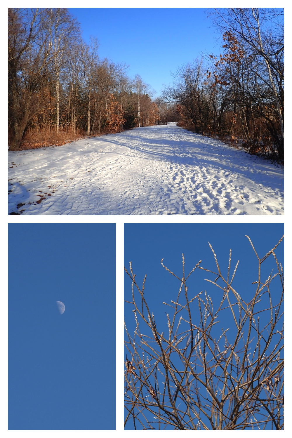 250107_Walk_1