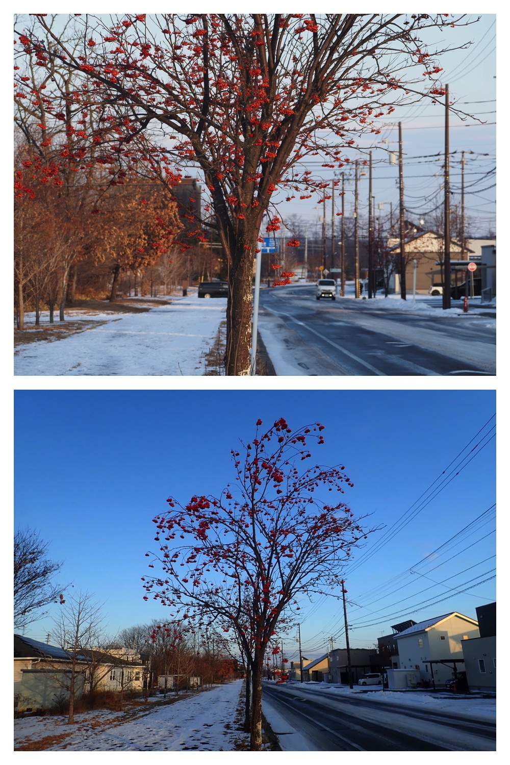 250107_Walk_10