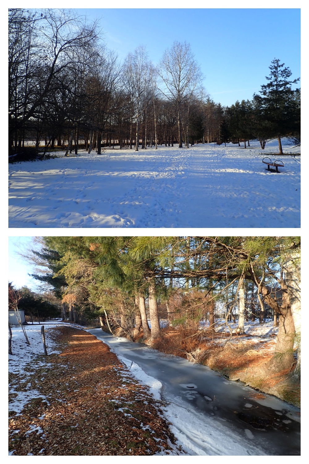 250107_Walk_2