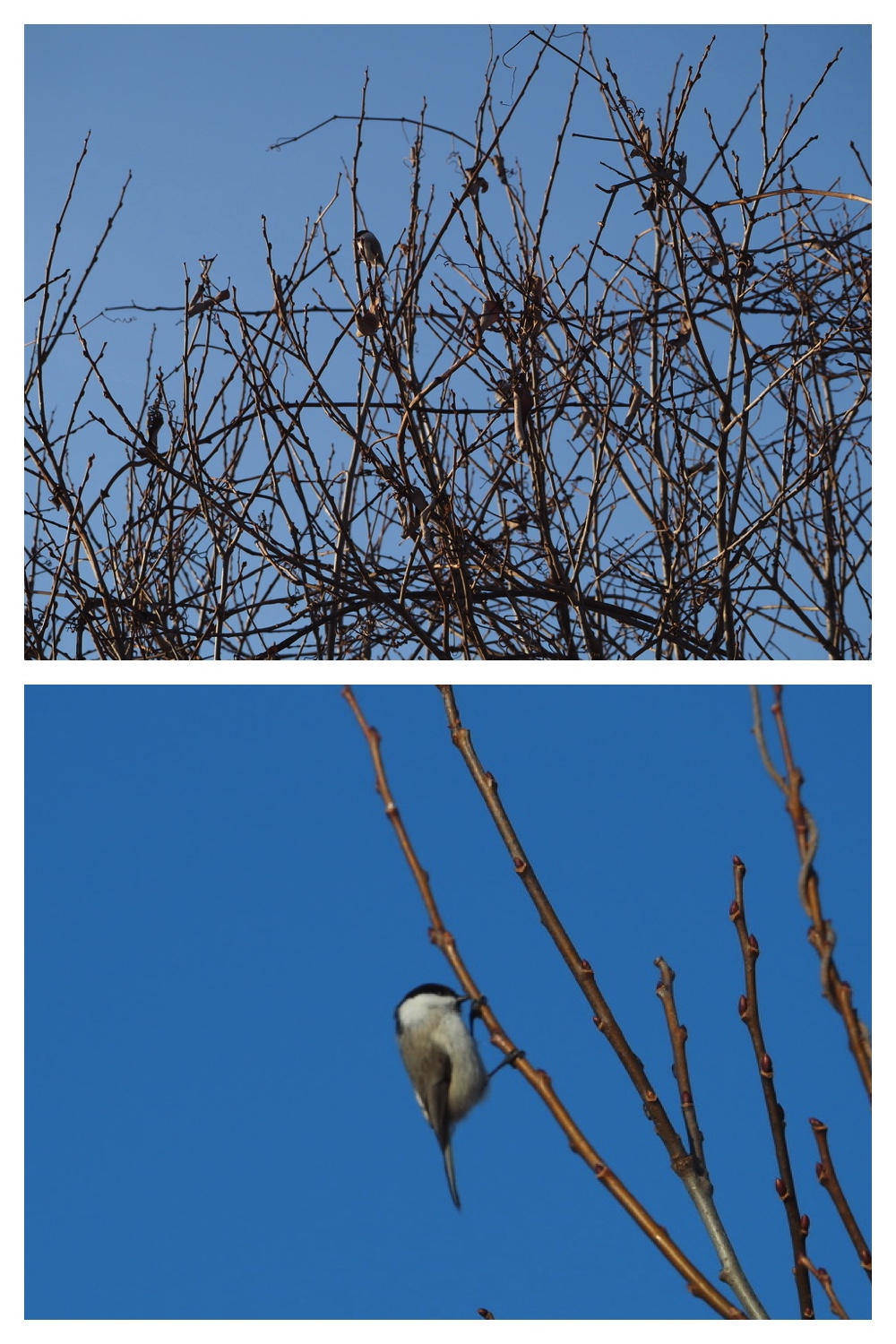 250107_Walk_4