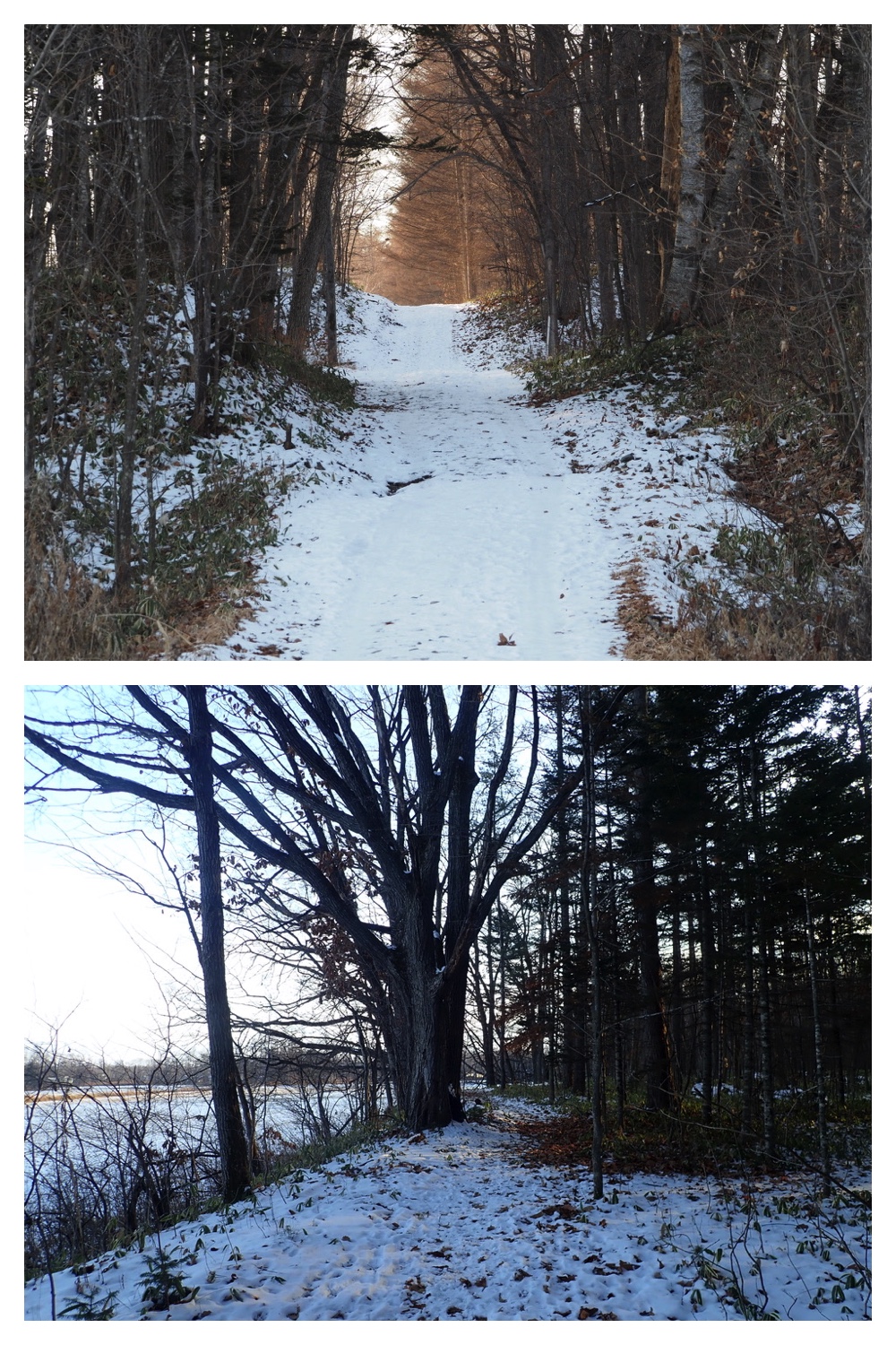 250107_Walk_6