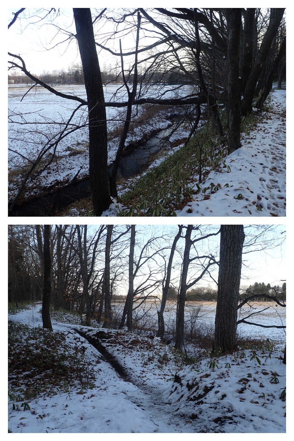 250107_Walk_7