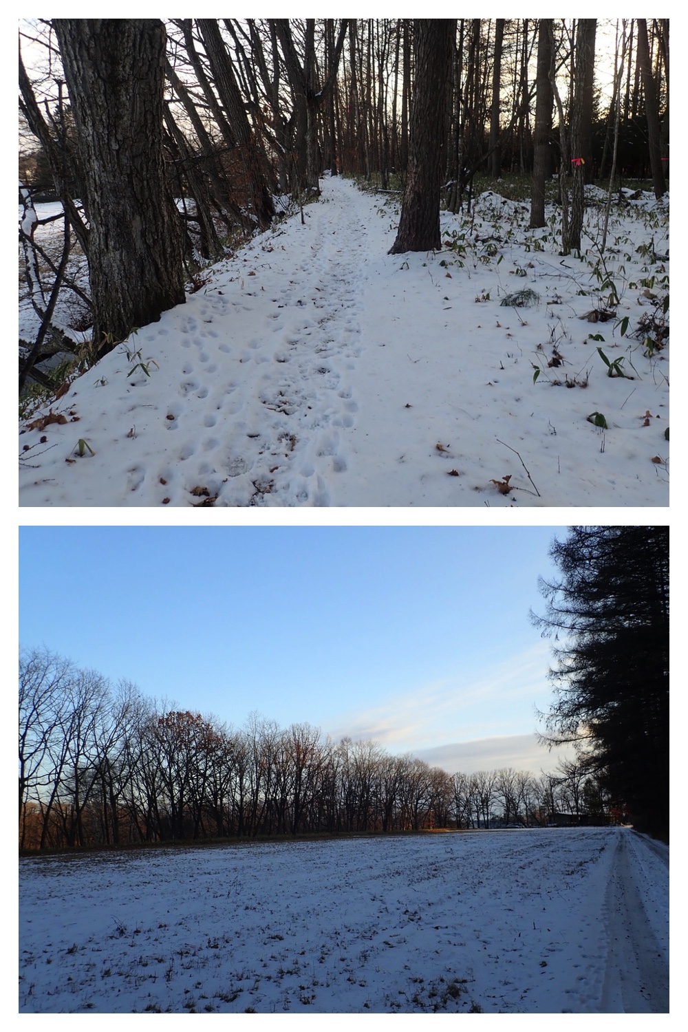 250107_Walk_8