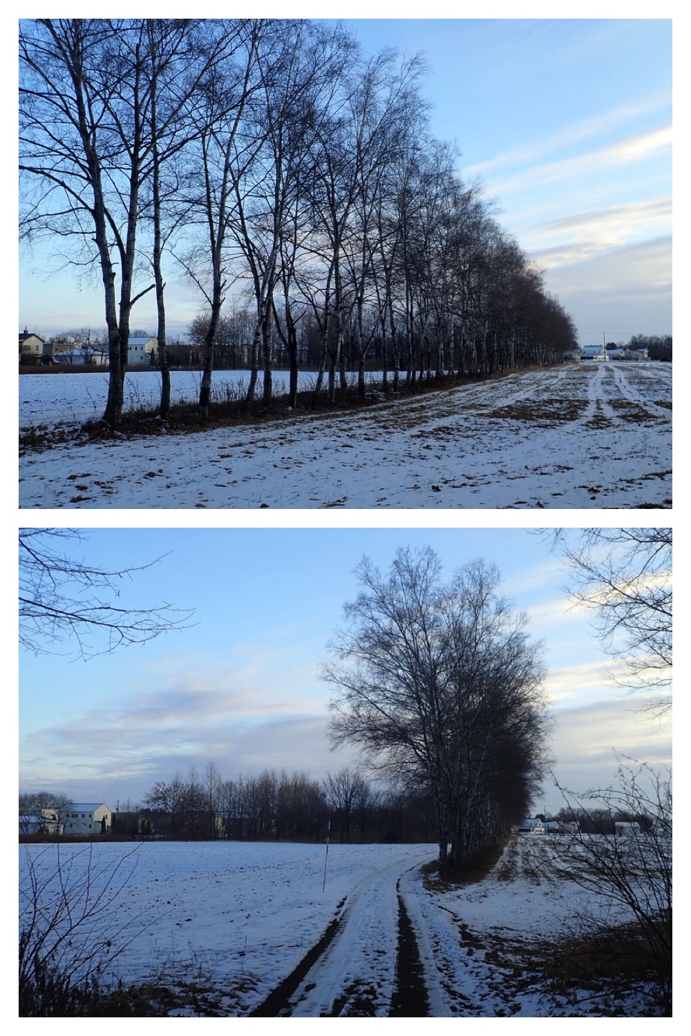 250107_Walk_9