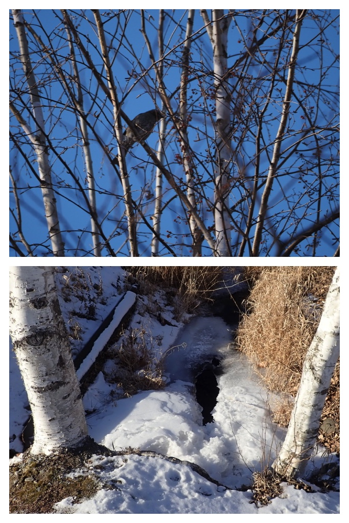 250112_Walk_1