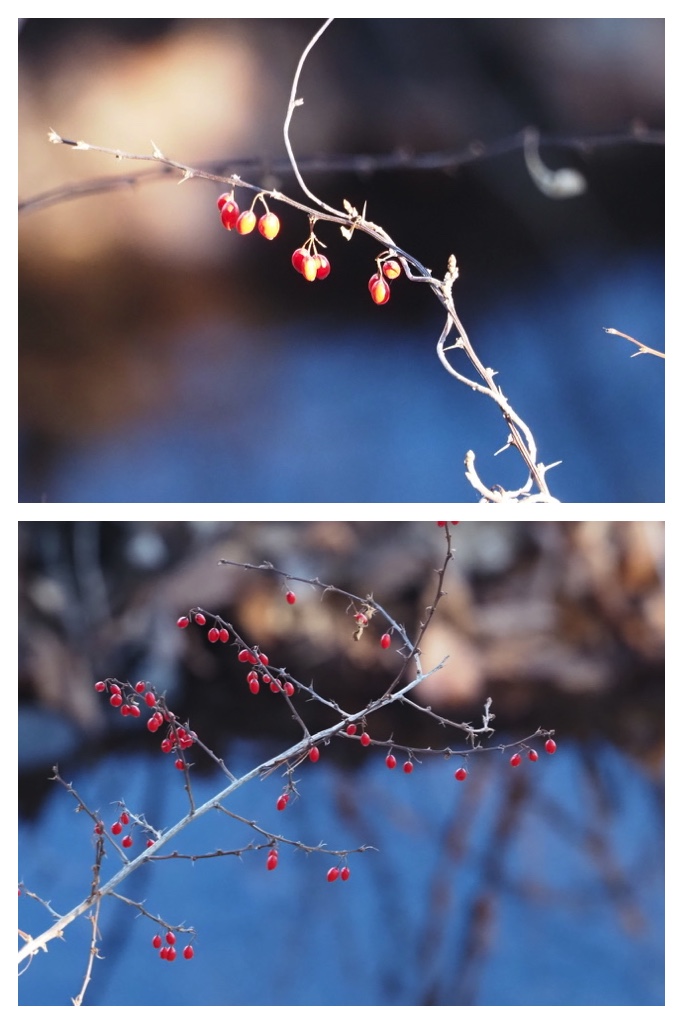 250112_Walk_3
