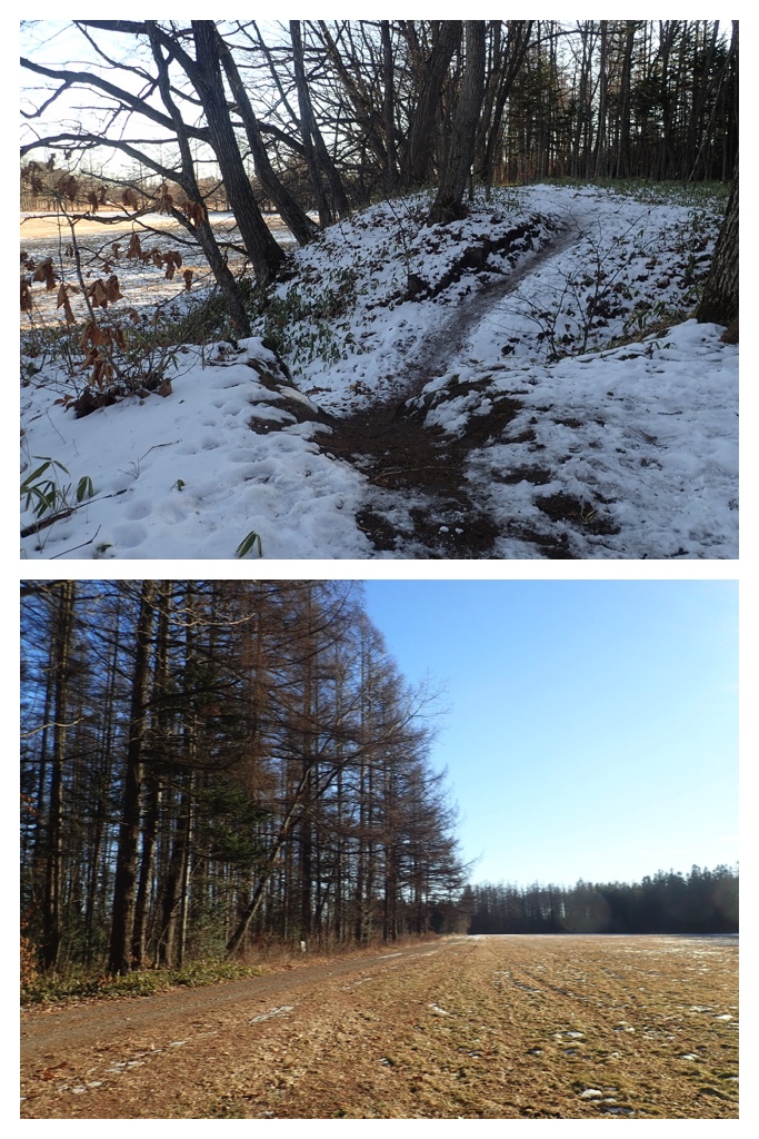 250112_Walk_4