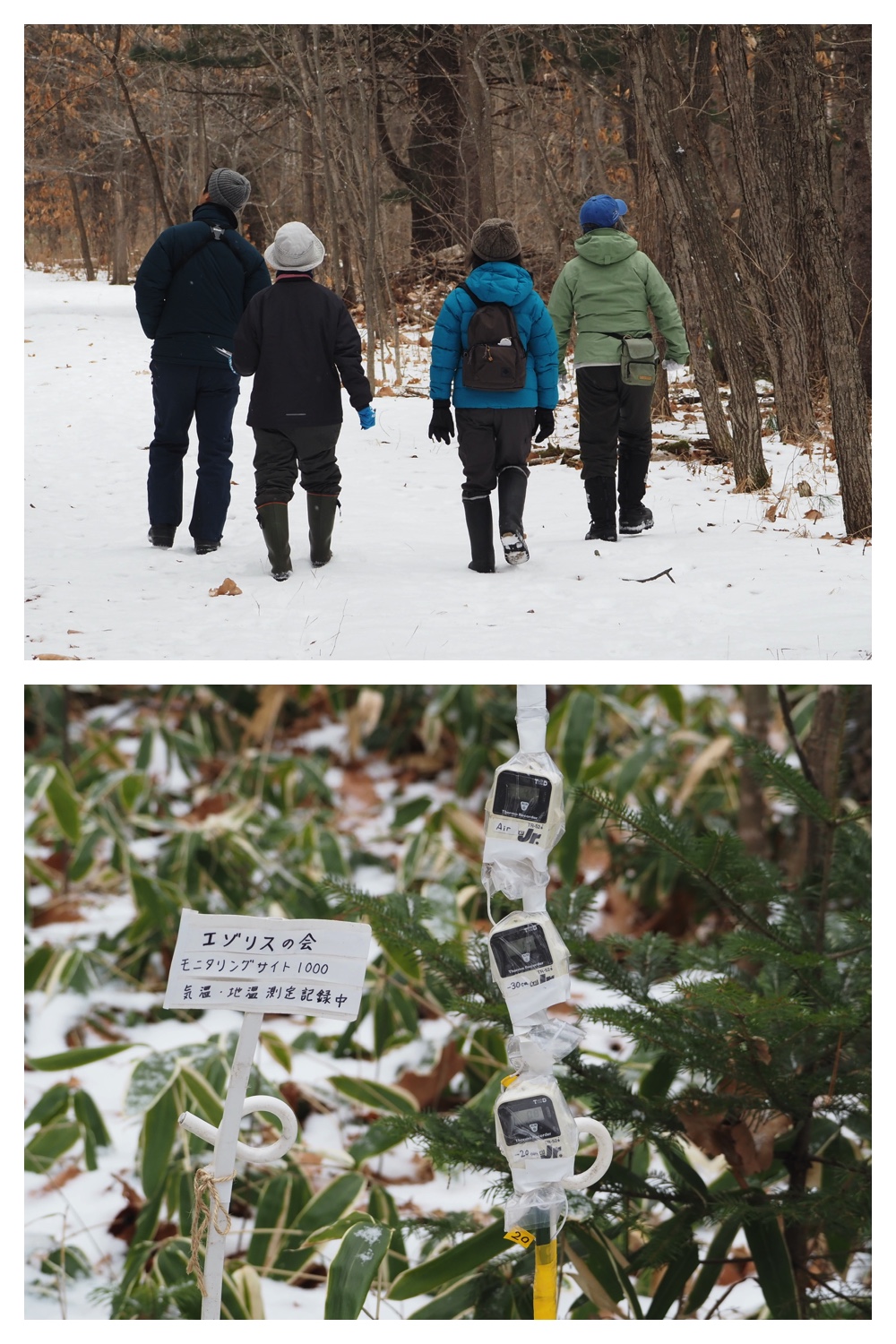 250113_Bird-survey_2