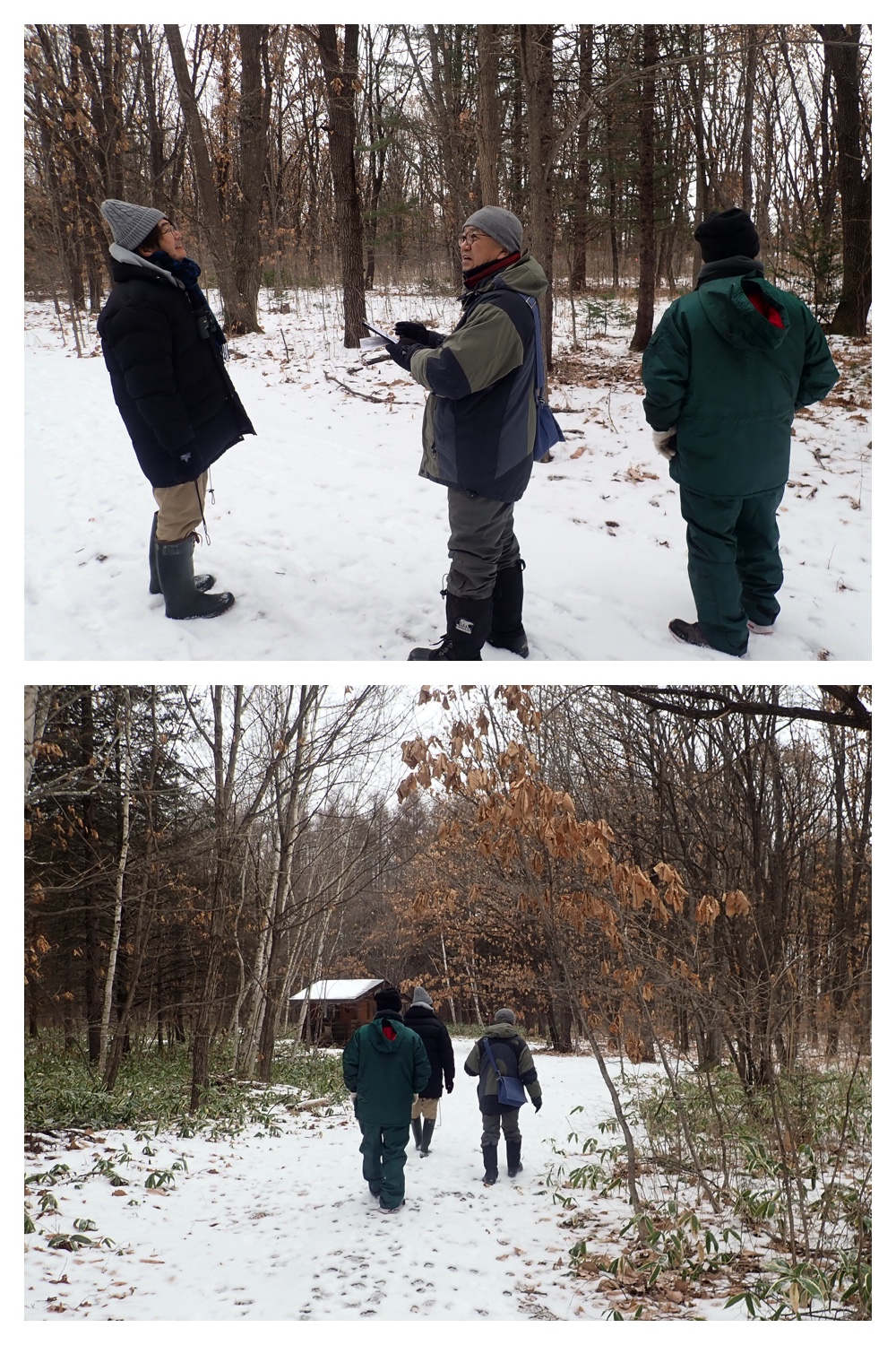 250113_Bird-survey_3