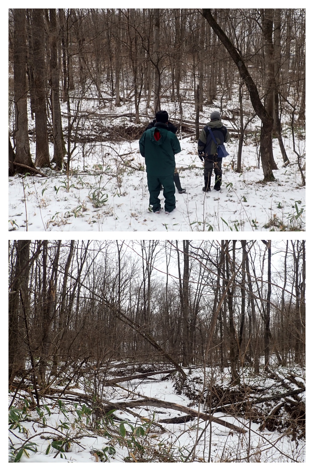 250113_Bird-survey_6