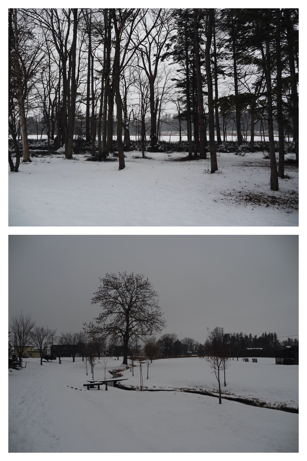 250124_Snow_10