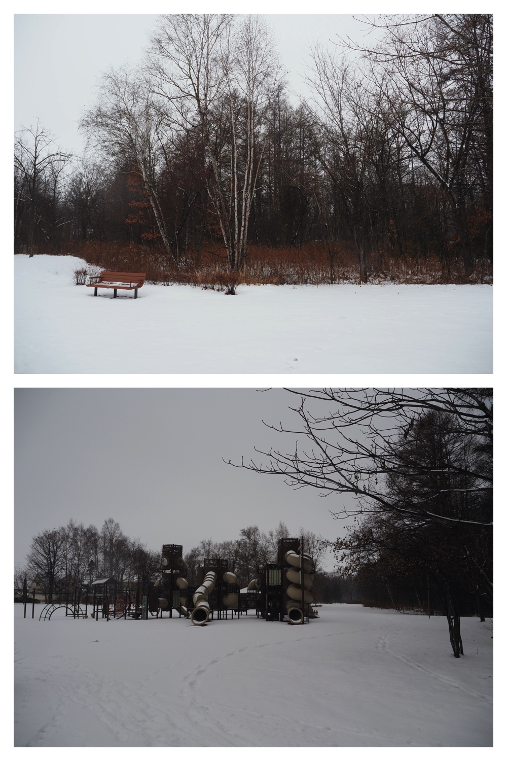 250124_Snow_13