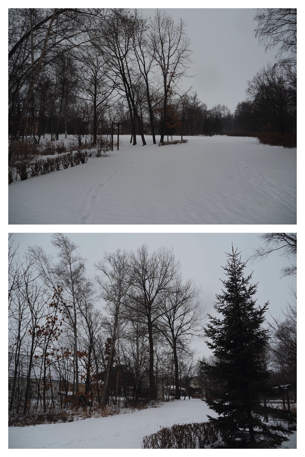 250124_Snow_14
