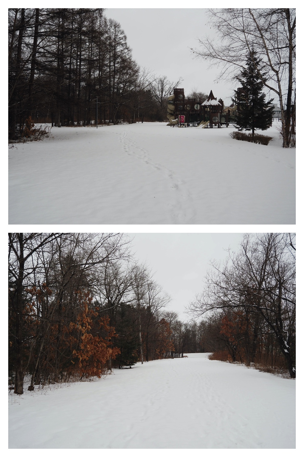 250124_Snow_2