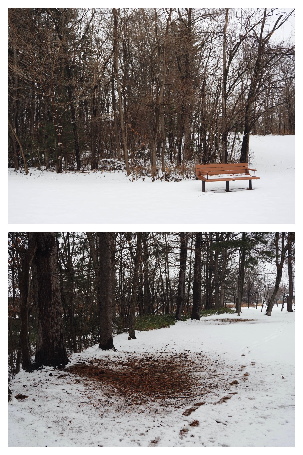 250124_Snow_3