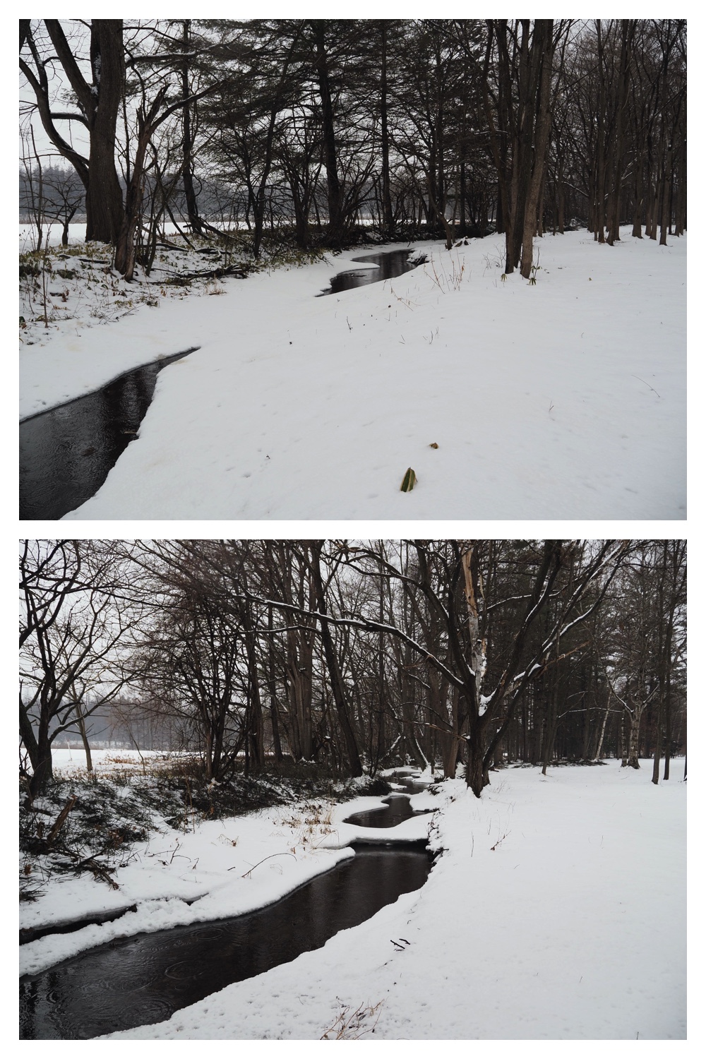 250124_Snow_7