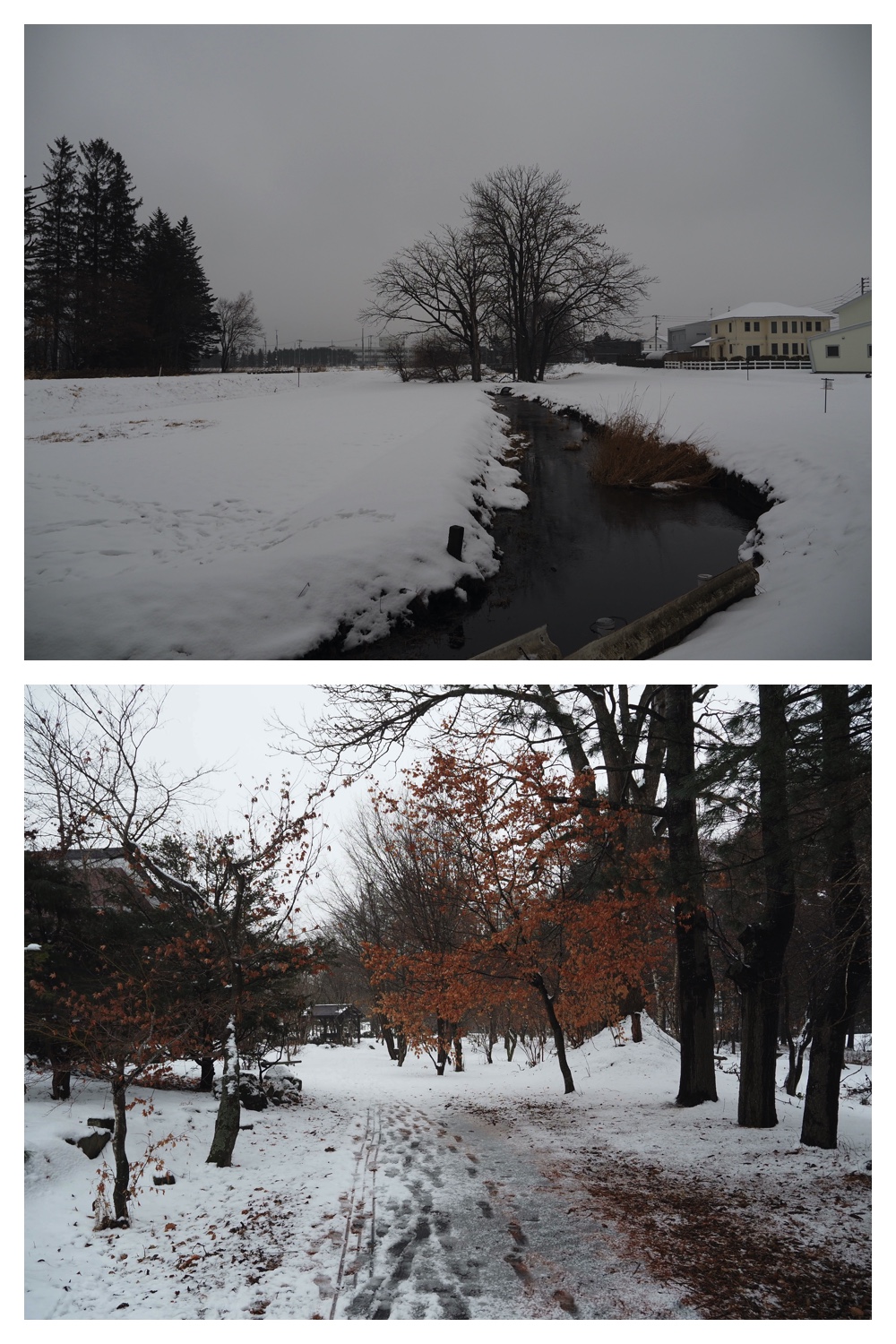 250124_Snow_9