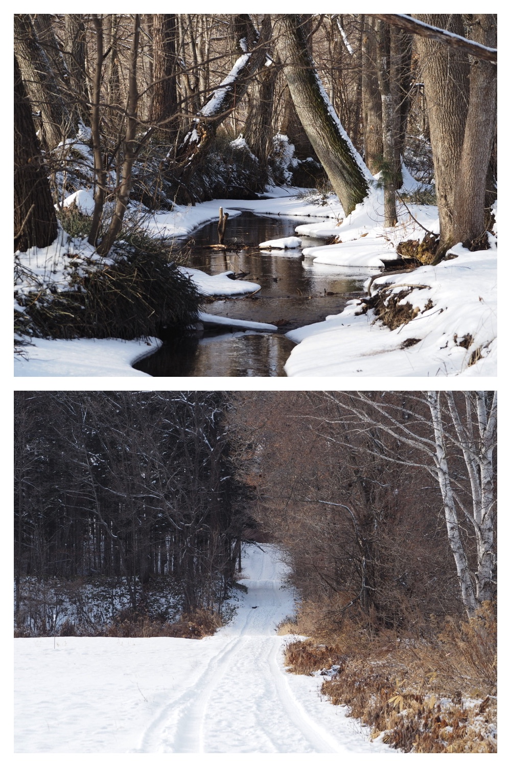 250126_Snow-2days_4
