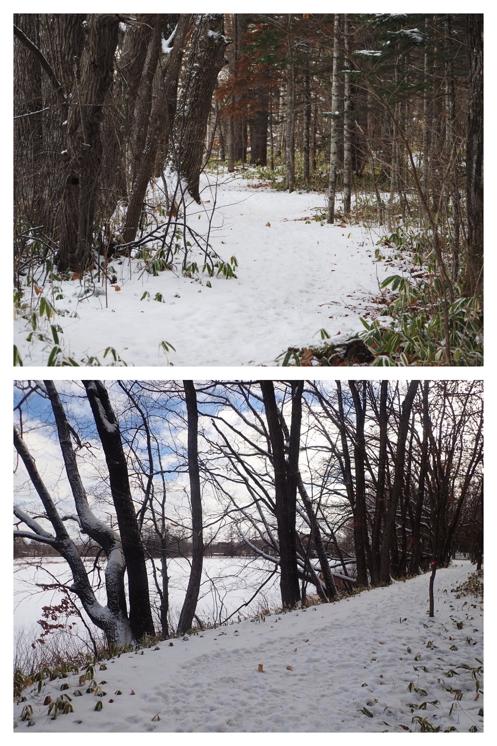 250126_Snow-2days_5