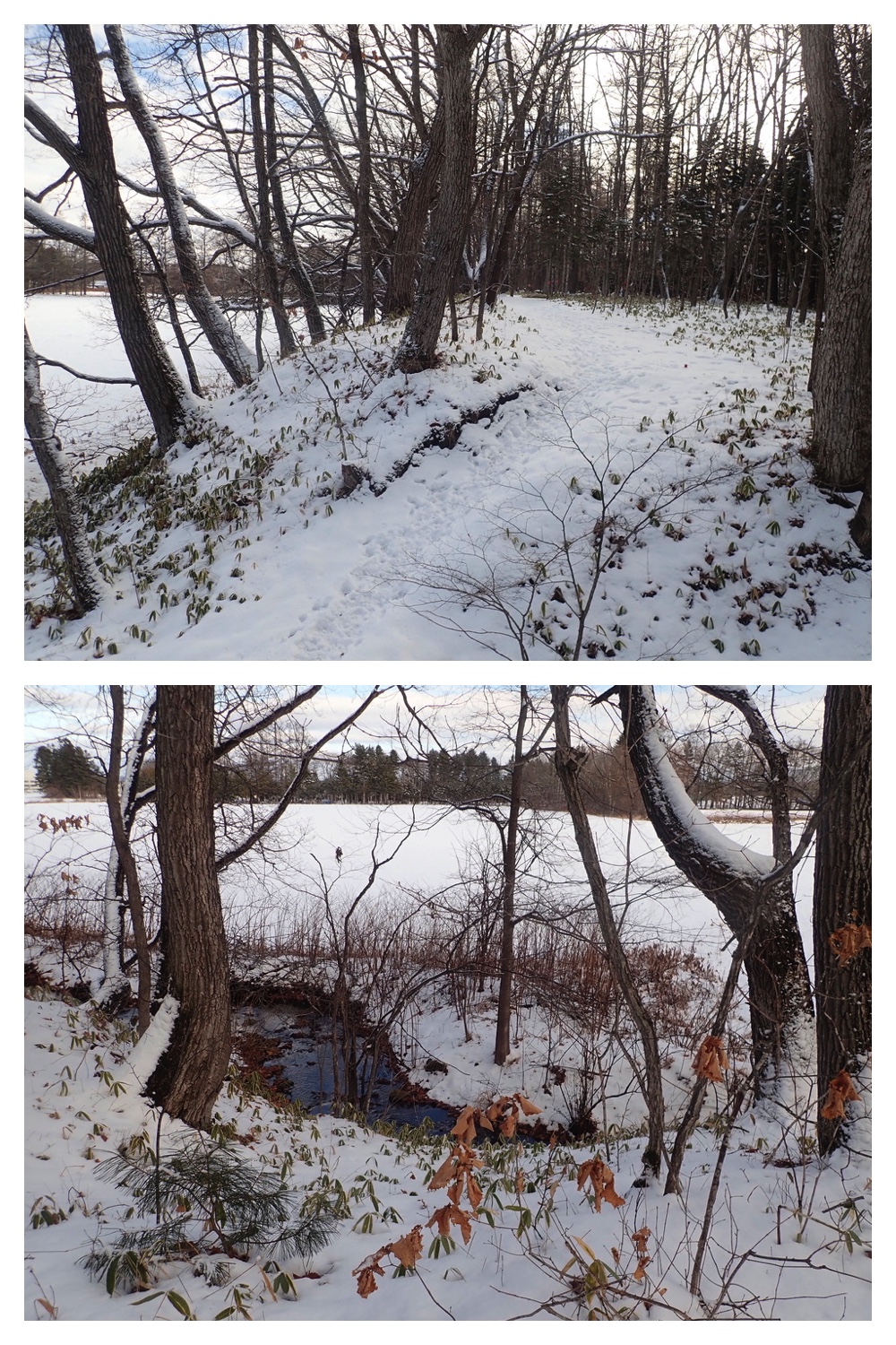 250126_Snow-2days_6