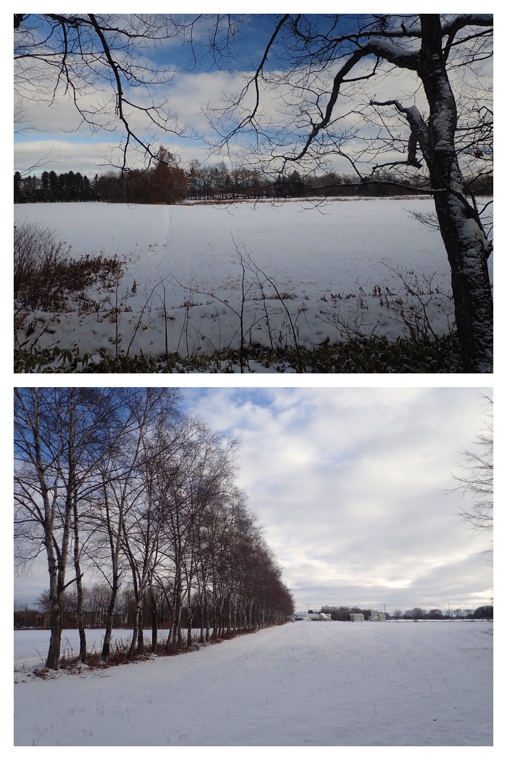 250126_Snow-2days_7