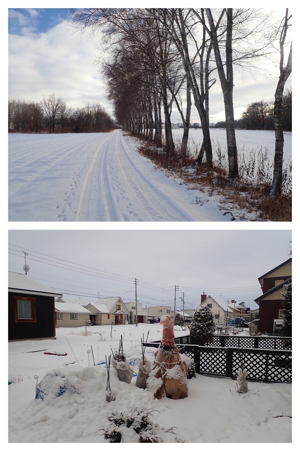 250126_Snow-2days_8