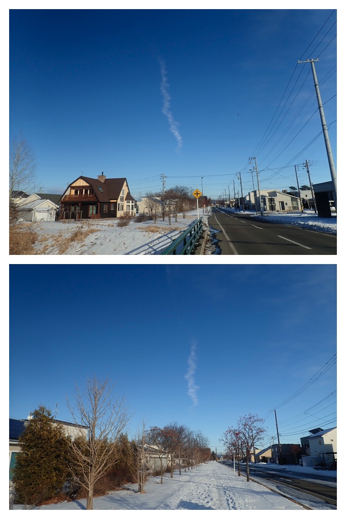 250129_Larch_6