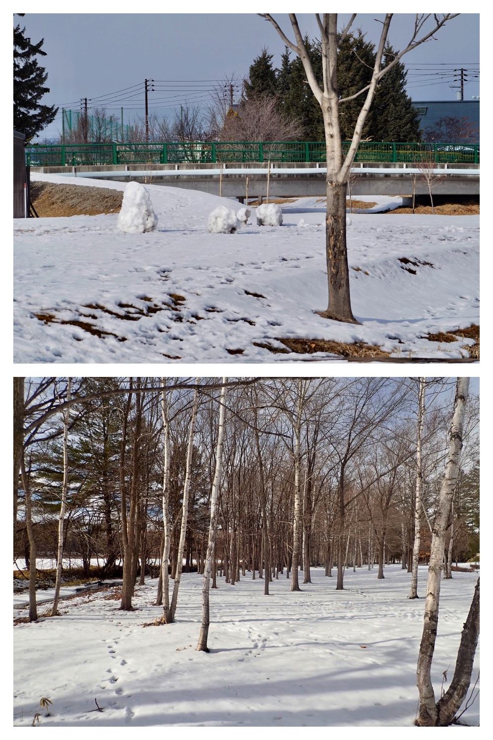 250201_Walk_1