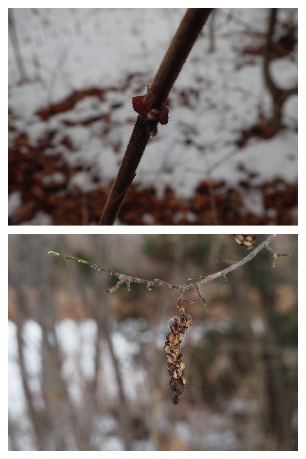 250201_Walk_10