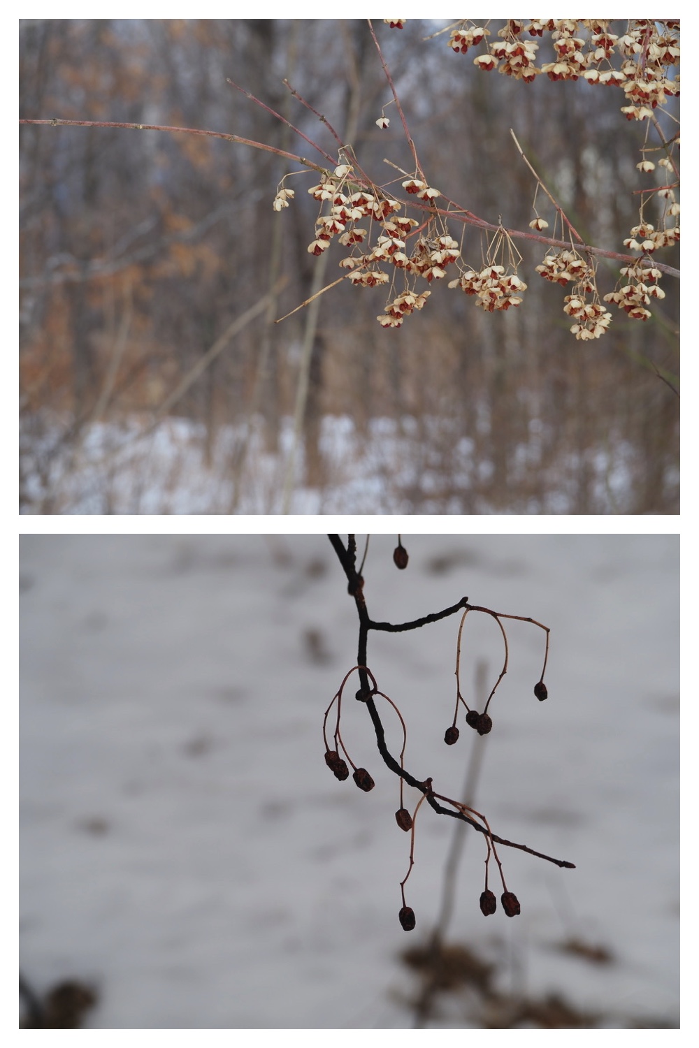 250201_Walk_11