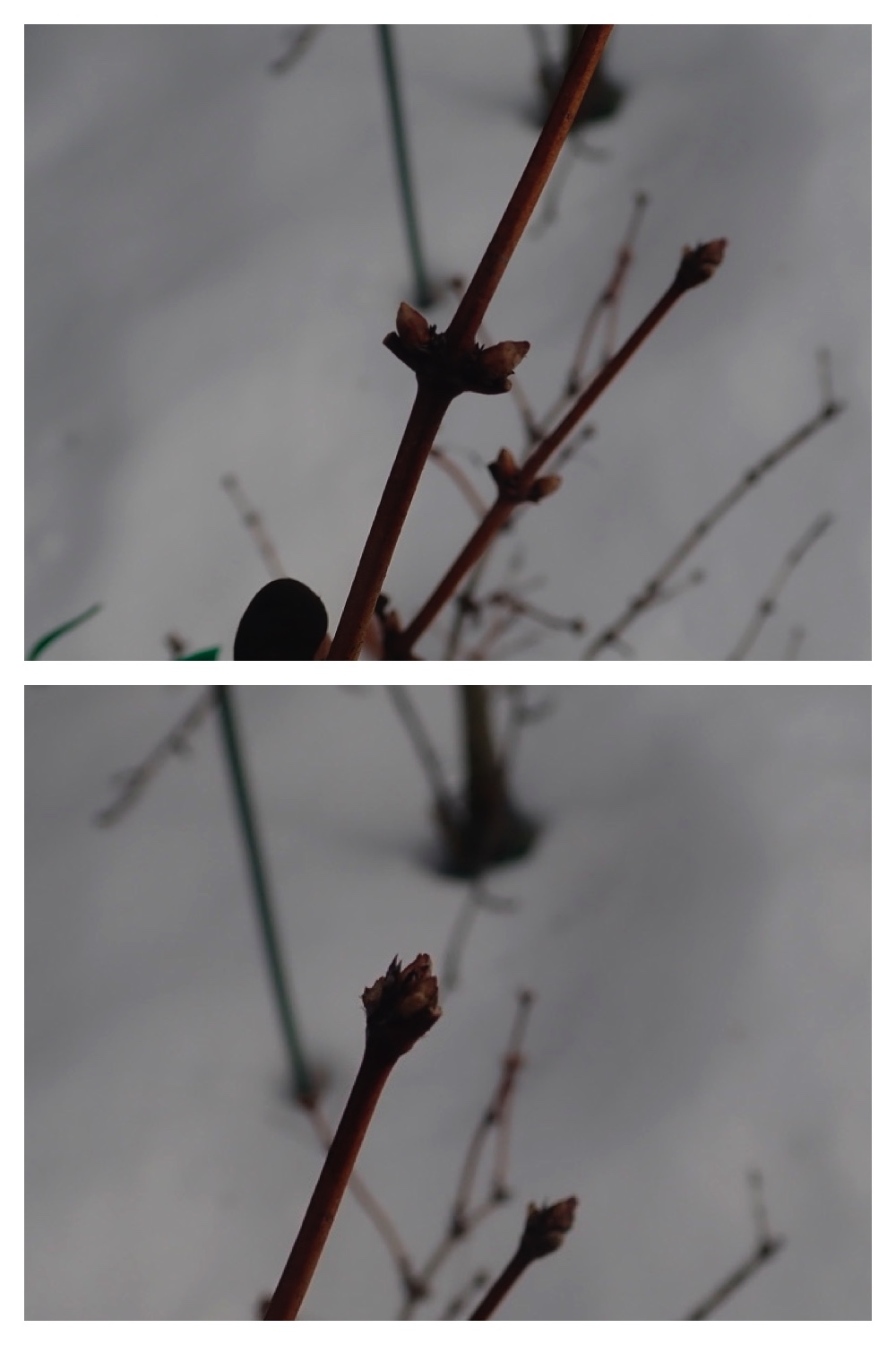 250201_Walk_12