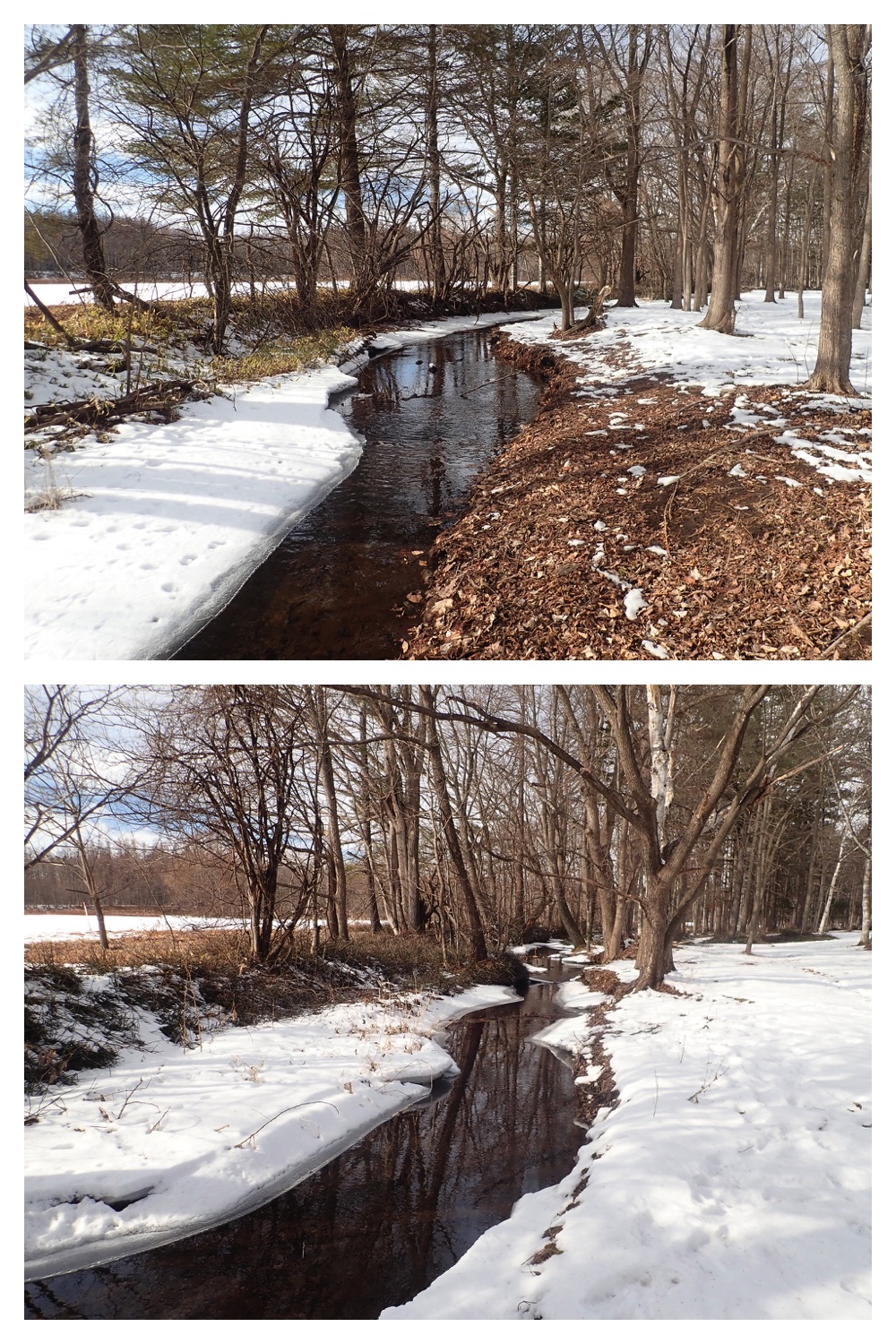 250201_Walk_2