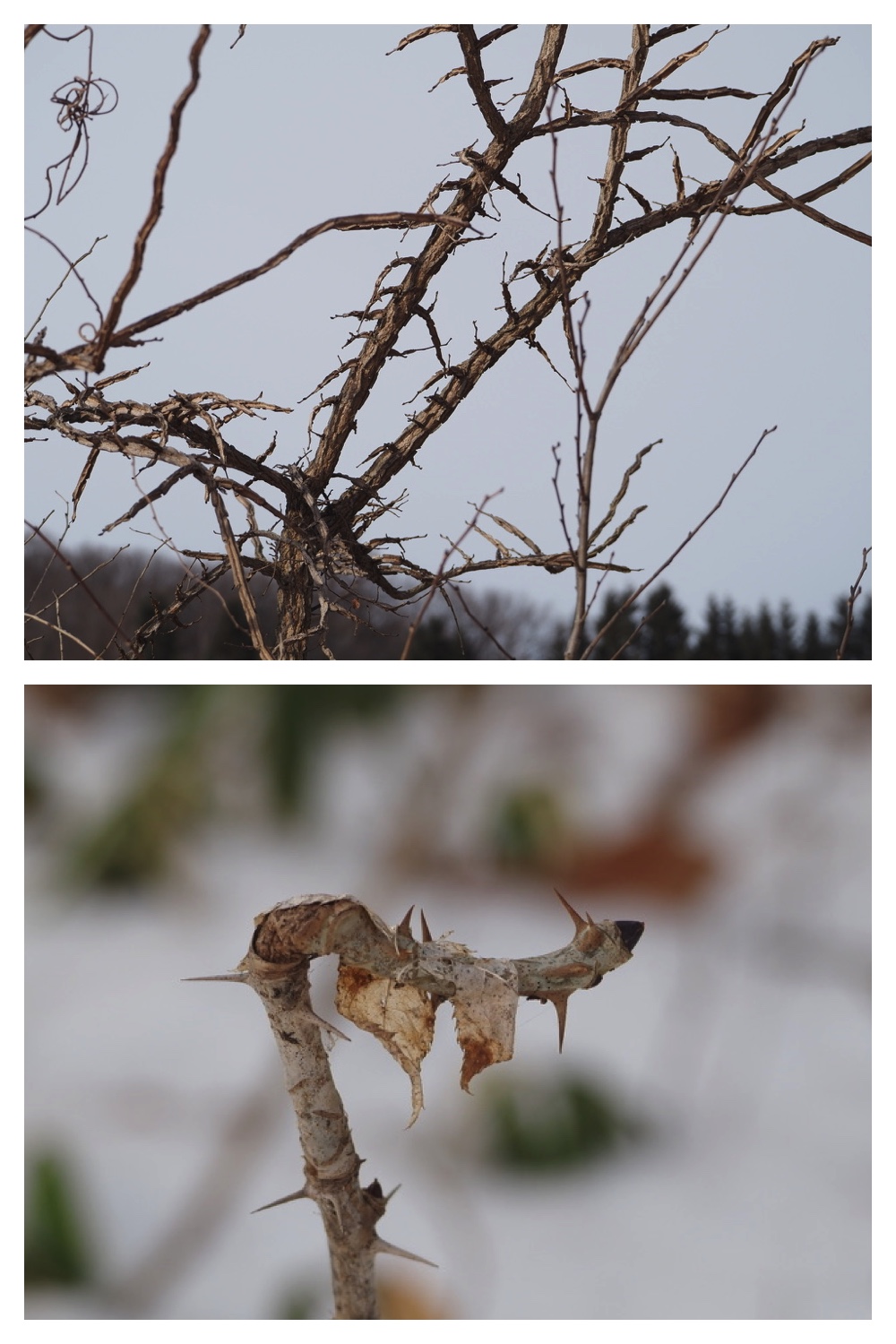 250201_Walk_3