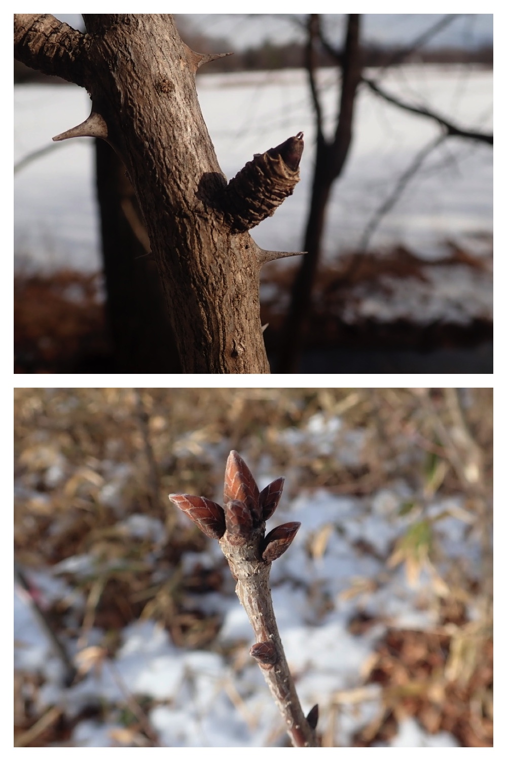 250201_Walk_4