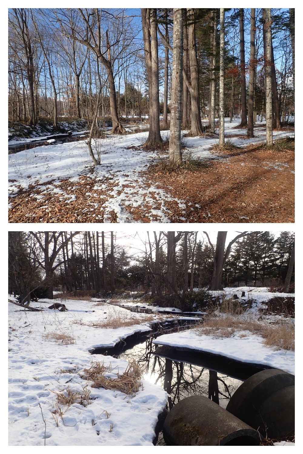250201_Walk_6