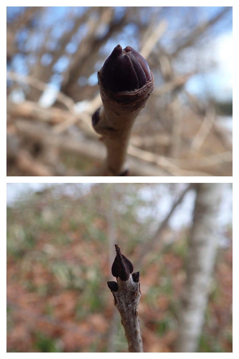 250201_Walk_7