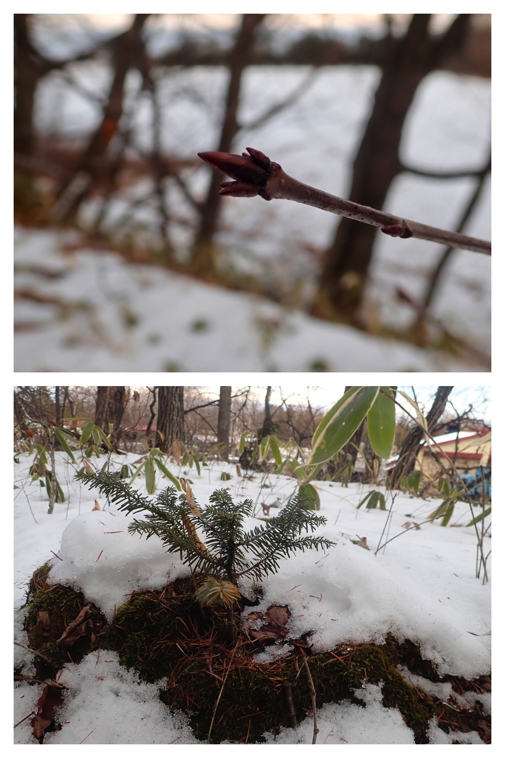 250201_Walk_8