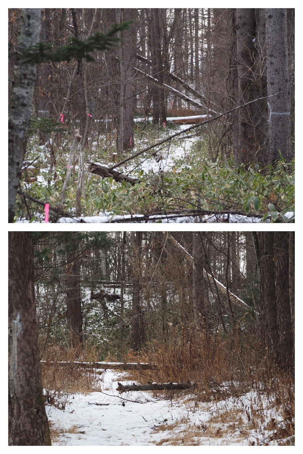250201_Walk_9