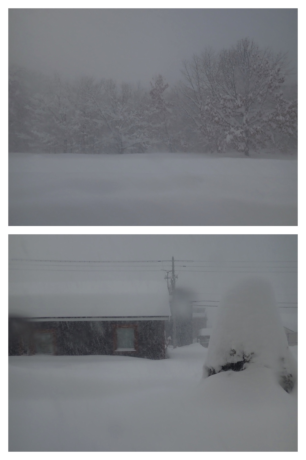 250204_Heavy-snow_1