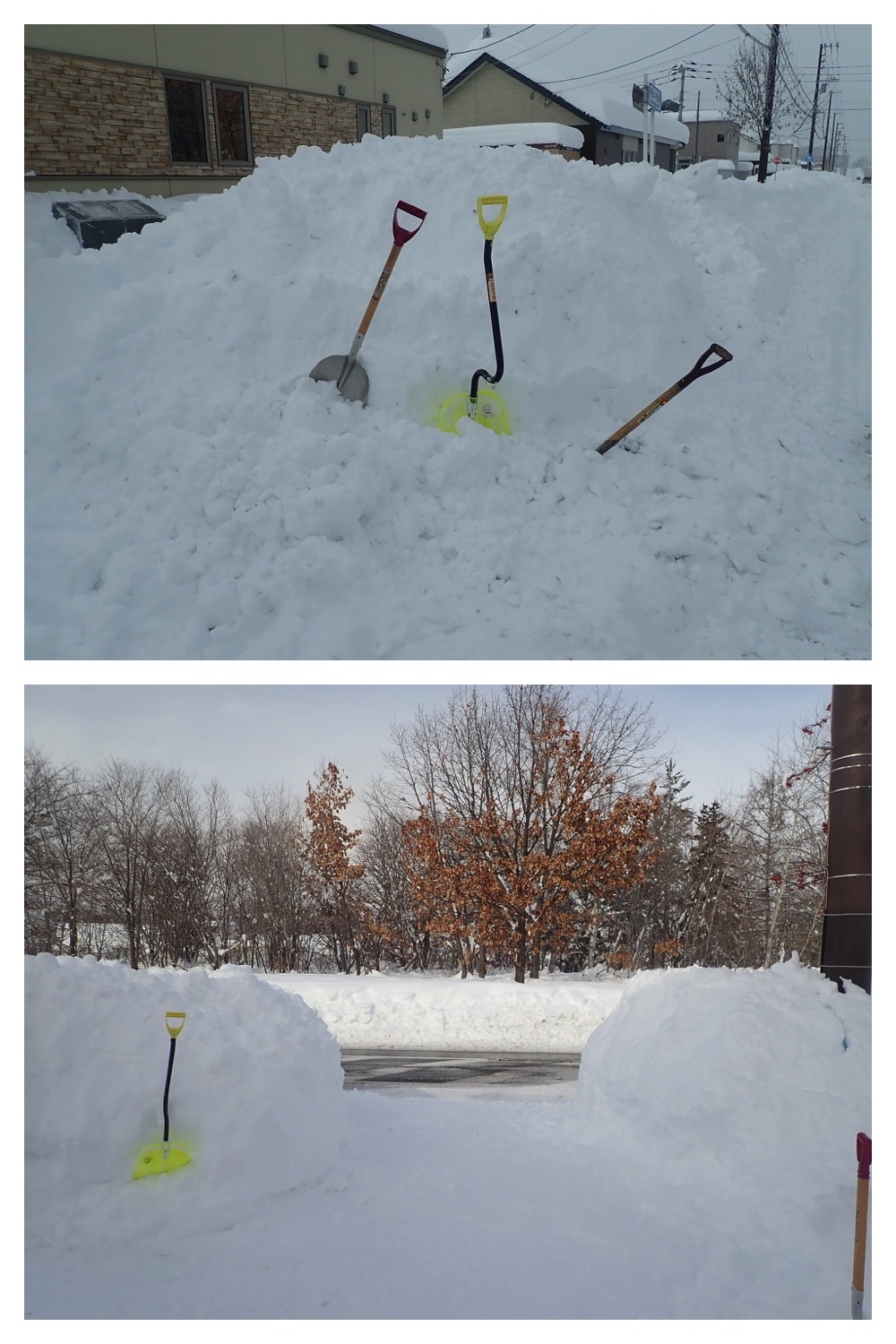 250204_Heavy-snow_11