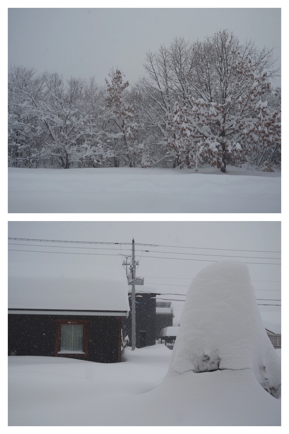 250204_Heavy-snow_2