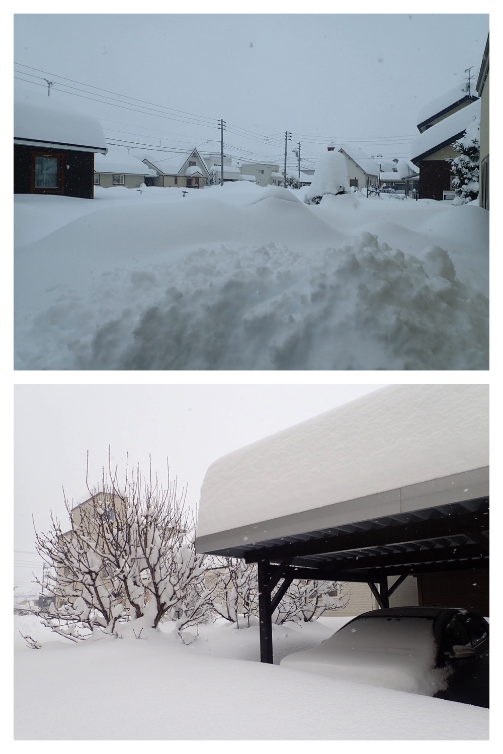 250204_Heavy-snow_5