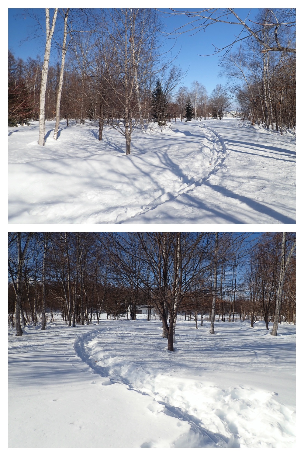250211_Kikanko-park_1
