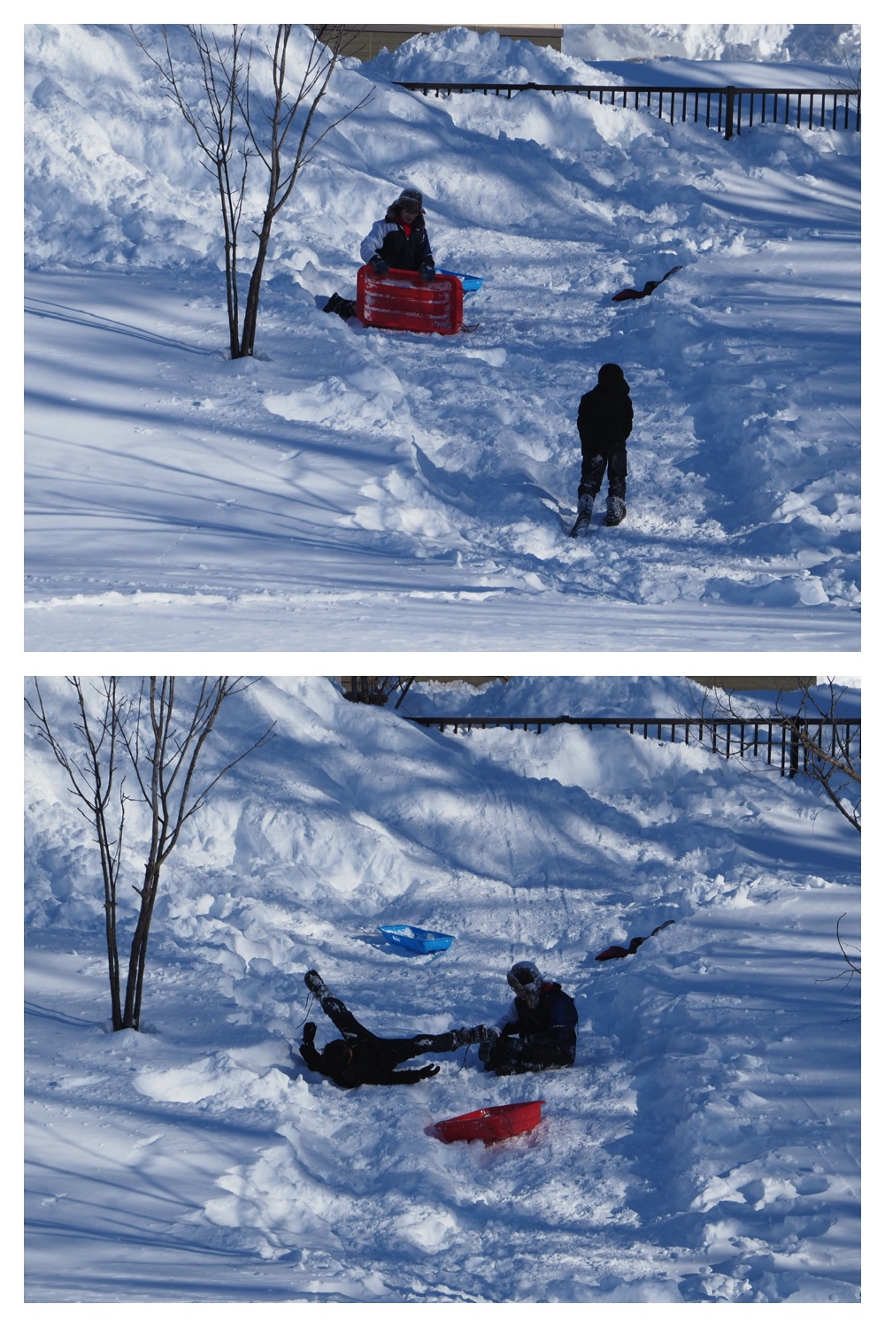 250211_Kikanko-park_4