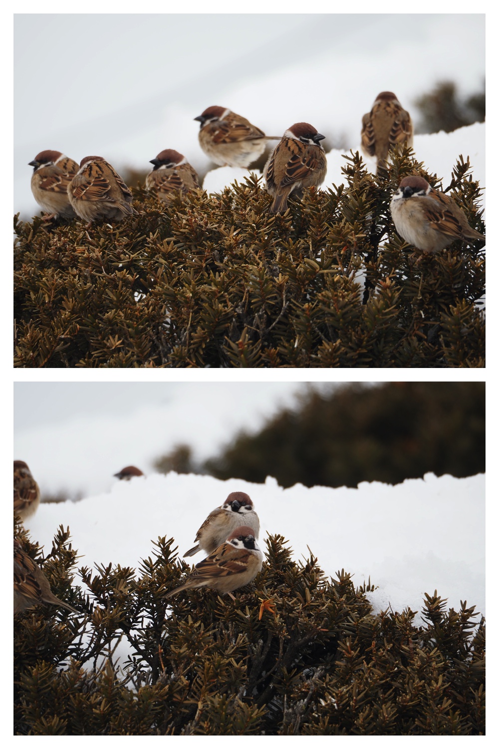 250212_Kanjiki_2
