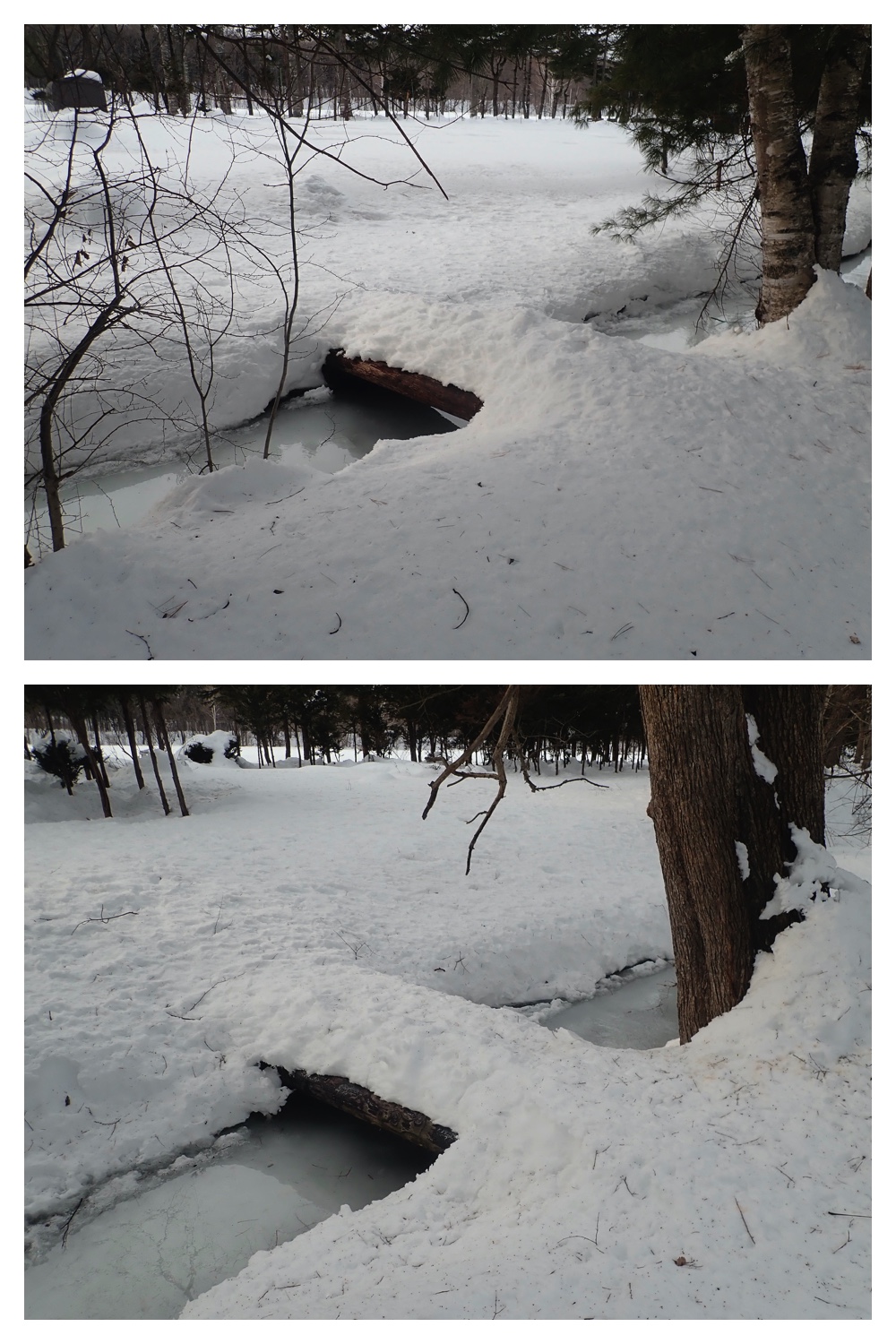 250212_Kanjiki_5