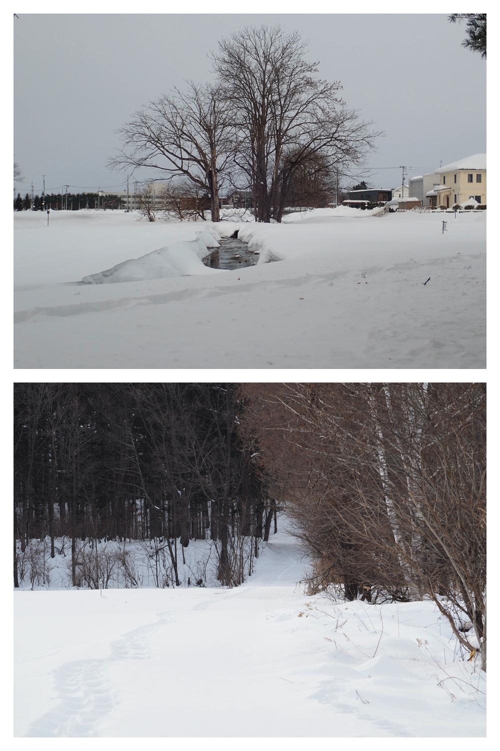 250212_Kanjiki_7