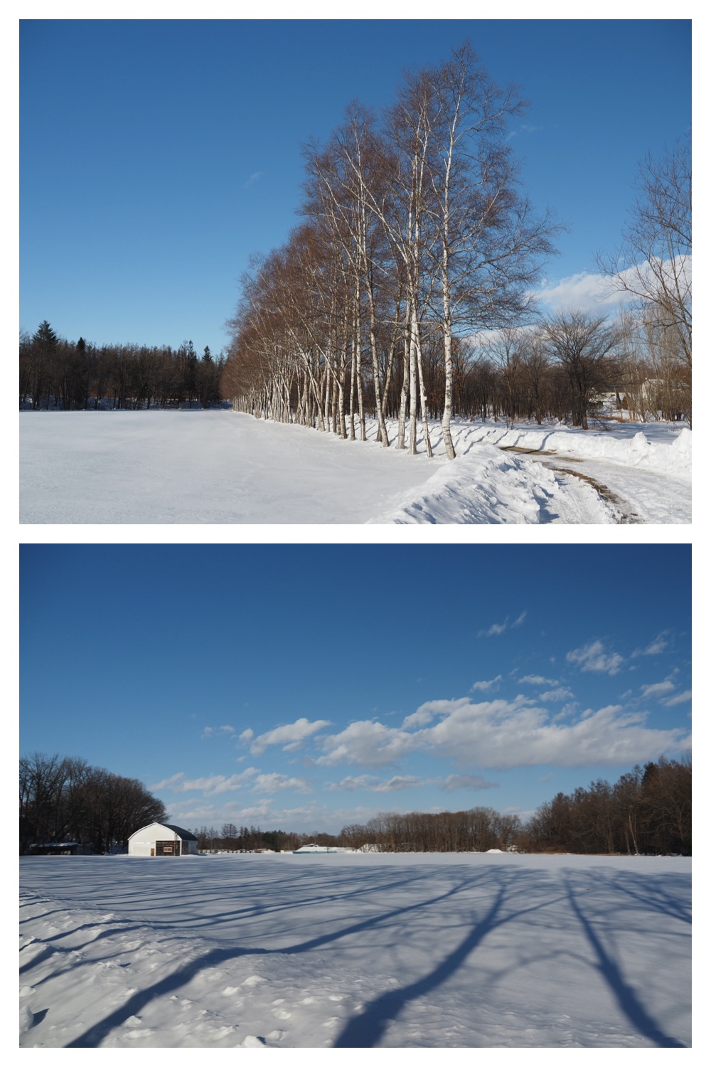 250215_Sanpo_1